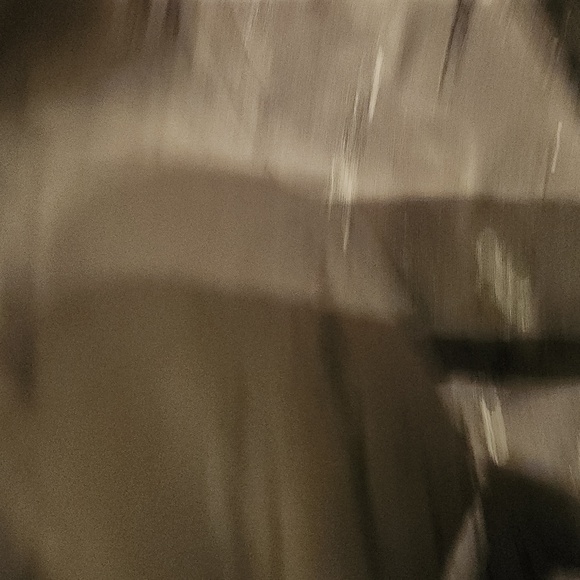 Laurel Burch Genuine Leather - Picture 4 of 8